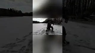 На Последнего Короеда! |рыбалка в России | #fishing  #рыбалка #shorts