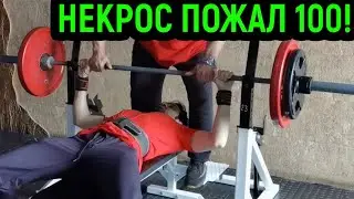 НЕКРОС ПОЖАЛ СОТКУ - Жим лёжа 100 кг