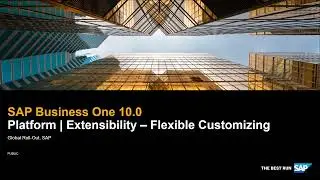 SAP Business One 10.0 Platform and Extensibility - Flexible Customizing