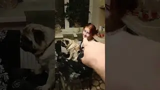 Семейный поклëп