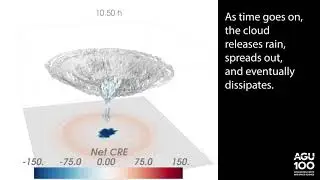 Animation: The life of a tropical storm cloud