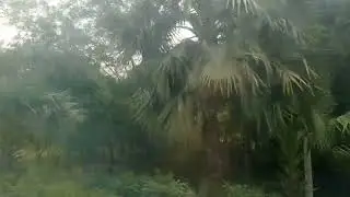 view from window at the train and beautiful nature of India