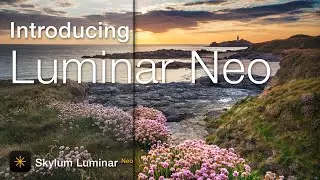 Luminar Neo Tutorial for Beginners