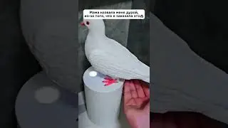 А вот что не так то?🤷🏻‍♀️