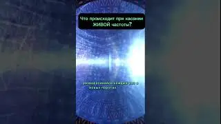 Что происходит при касании ЖИВОЙ частоты? #квантовыйпереход #квантовоесознание