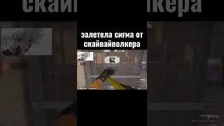 залетела сигма от скайвайволкера #shorts #short #shortvideo #csgo  #skywhywalker #tiktok