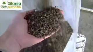 Линия грануляции ЛГ
