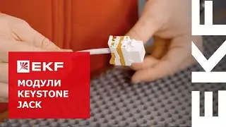 Информационные модули Keystone Jack