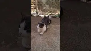 Look at this 
