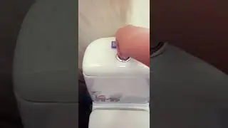 Смыл скибиди туалет