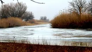 ПОСЛЕДНИЙ ЛЁД в Астрахани. Караси и щуки маленькой реки. Рыбалка в Астрахани.