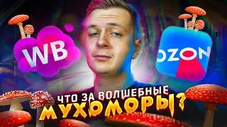 Что за МУХОМОРЫ на Ozon и Wildberries?