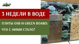 OSB и GREEN BOARD в воде 3 недели, что с ними случилось !