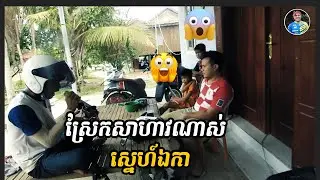 ស្នេហ៍ឯកា Conver by Mr. Jok - ពិរោះរណ្តុំចិត្ត