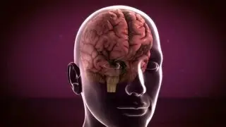 Seizures