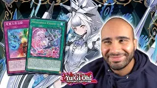 The NEW Malice Link-3 Is PERFECT Support! Yu-Gi-Oh!