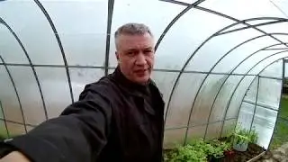 Капельный полив