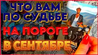 ЧТО ВАМ ПО СУДЬБЕ НА ПОРОГЕ В СЕНТЯБРЕ??? Расклад Таро Алёны Ариес #тайны #alenaaries #сегодня