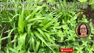 MPF Webinar: How Plants Work: Plant Physiology in 50 Minutes