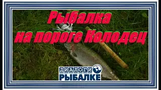 Диалоги о рыбалке - 016/ Рыбалка на пороге Колодец!