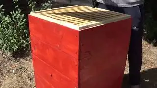 РЕВИЗИЯ СЕМЬИ НА КАЧЕСТВО ЗАСЕВА МАТКИ КАРНИКА F2