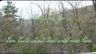 Trees And You- A tree "Documentary"