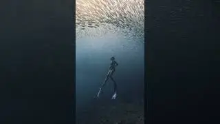 fish 3 VFX hack 13 