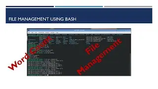 How to handle word count from files using Bash Scripting