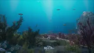 Unreal Engine 5 | 