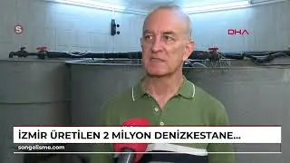 İZMİR Üretilen 2 milyon denizkestanesiyle denizdeki popülasyona katkı sağlayacaklar