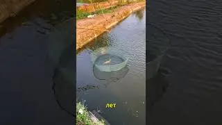 Конкурс по ловле мертвой утки завершается большим    