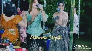 tak elos elos ngadek
