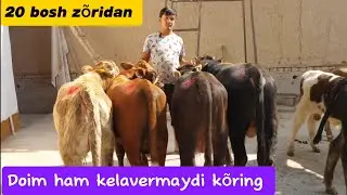 Buqa va ģunajinlaridan+99893.688.10.98 zõridan sõraganlarga kech qolmang