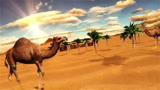 INTRO Deserto do SaaraDeserto na África 2024