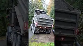 Clearing land with a mini excavator #lifeamongsttheferns #construction #homebuilding #diy