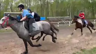 Скачки лошадей / Майская репетиция