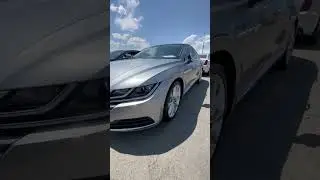 Встретил на рынке в Грузии европейца! Как вам?