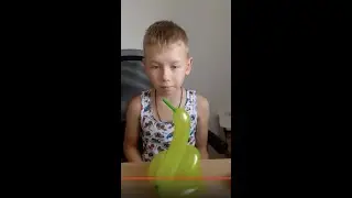 Лебедь из длинного воздушного шарика ШДМ