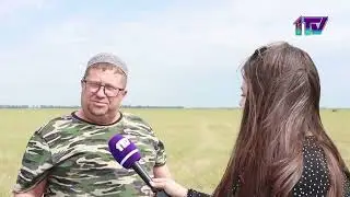 08.08.24. Тайыншадағы «Вишневское» ЖШС қысқа 3 мың тоннаға дейін шөп дайындауды жоспарлап отыр