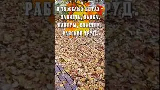 На каблучках бежала осень 