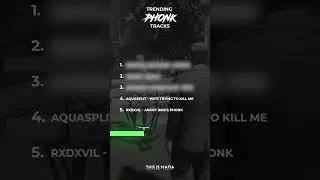BEST PHONK TRACKS 