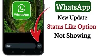 WhatsApp Status Like Option New Update | How to Fix WhatsApp Status Like Button Option Not Showing