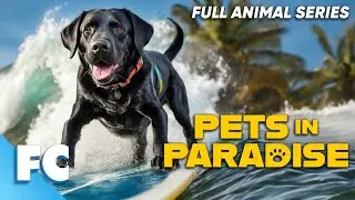 Pets In Paradise (3/26) | Season 1 Episode 3: Surf's Up! | Full Animal Documentary TV Show | FC