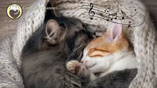 528 Hz Deep Healing Music for Stressed and Anxious Cats (with cat purring sounds)