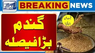 Breaking News related to Wheat | Latest Update | Lahore News HD