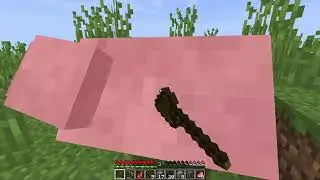 Minecraft Survival Part 1/Başlangıç
