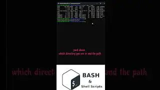 useful and simple Linux command Bash where am i tips and tricks  