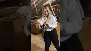 Sex videolar Niginadan uyatsiz videolar 2021 