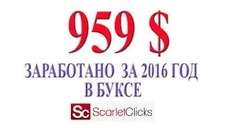 SCARLET-CLICKS - результаты заработка за год работы в буксе