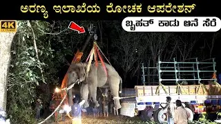 Huge Elephant Captured | Kadaba | Subrahmanya | Karnataka | ಬೃಹತ್ ಕಾಡು ಆನೆ ಸೆರೆಹಿಡಿದ ಅರಣ್ಯ ಇಲಾಖೆ